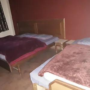 https://hotel-city-inn.shimlahotels.net